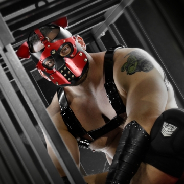 Pup Mask Red